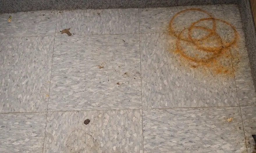 A vinyl tile floor before cleaning, with a large dried orange spill and scattered crumbs.