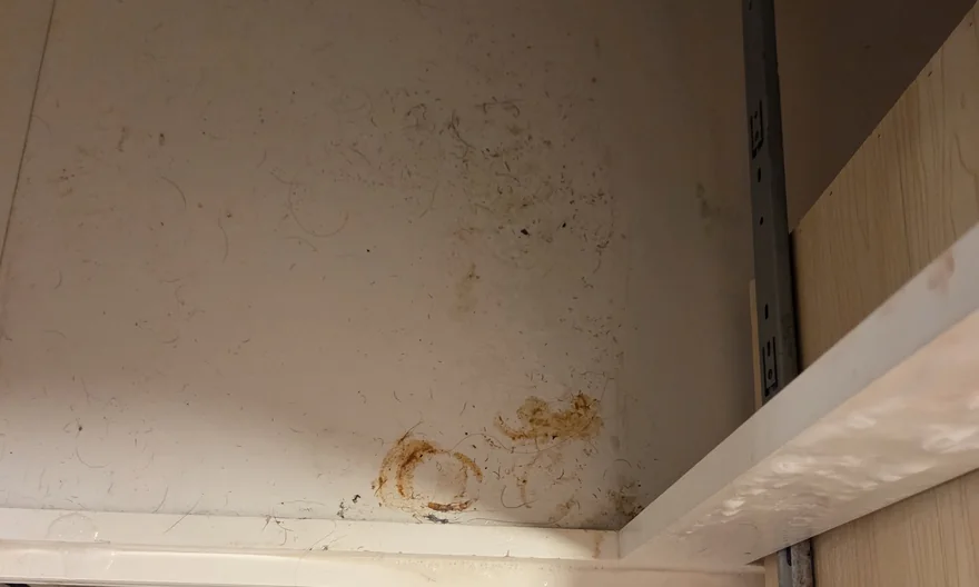 Inside an under-sink cabinet before cleaning, with scuffs, debris and brown residue on the base.